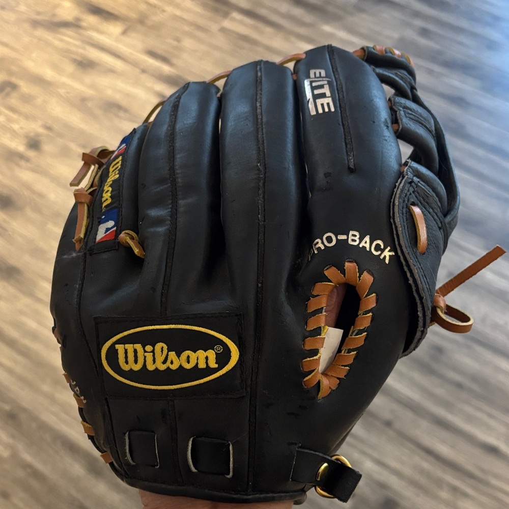 Wilson Ball Glove